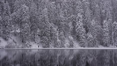 people walk around lake with snow covered pine trees