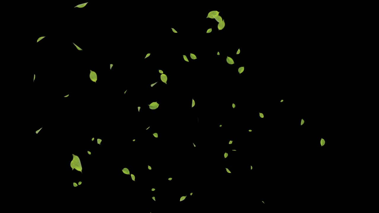 3d 4k motion video of a tea leaves falling slow motion realistic 3d channel loop animation for