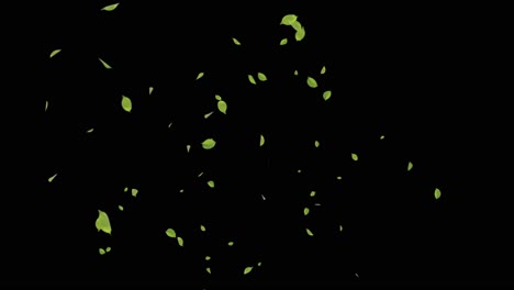3d 4k motion video of a tea leaves falling slow motion realistic 3d channel loop animation for