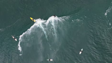 top down drone video following two surfers as they catch a wave above shallow reef