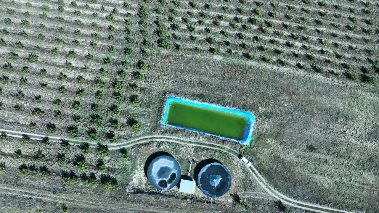 aerial shot of large agricultural field with rows of crops. The orderly patterns of the plants and the central water source suggest efficient irrigation and agricultural planning