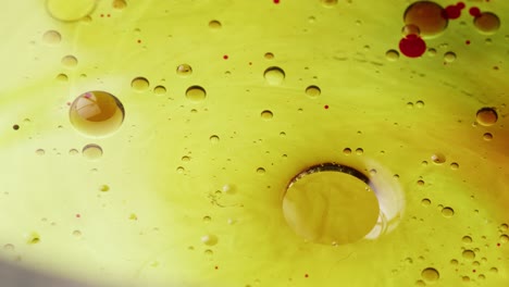 explore las profundidades de la creatividad artística con nuestros videos experimentales de pintura, donde los colores vibrantes cobran vida en exhibiciones hipnotizantes