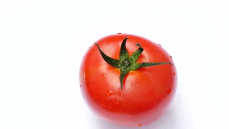 el tomate gira sobre un fondo blanco.
