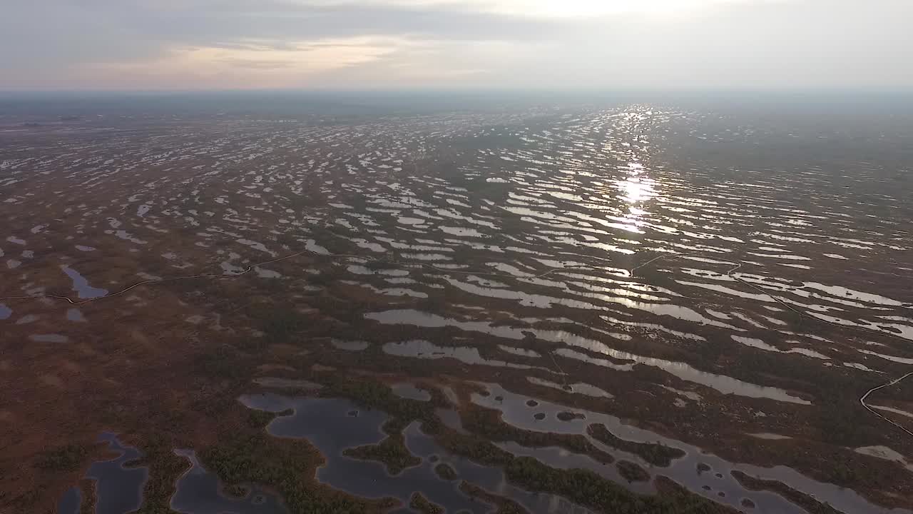 vista aérea de otoño de alto nivel de agua de pantano elevado en kemeri, latvis