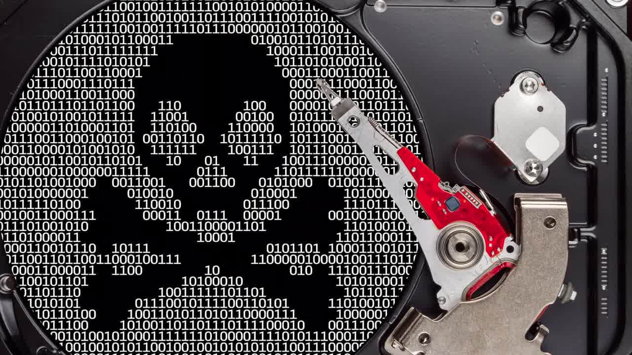 Hard disk drive malware