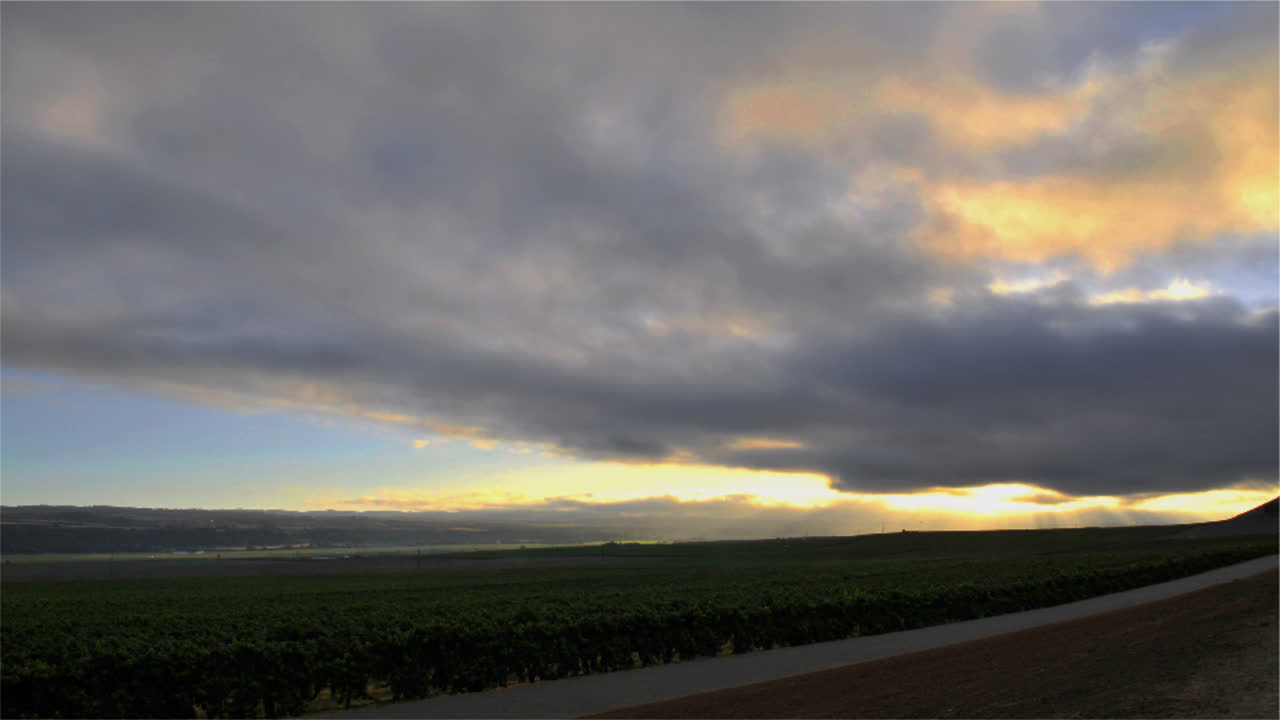 포도원 위에 흐린 일몰의 시간 경과