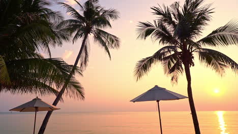 Amazing-pink-orange-color-tropical-sunset-over-the-sea,-Beach-Umbrellas-and-coconut-palm-trees-silhouette-in-the-foreground,-handheld-slowmo