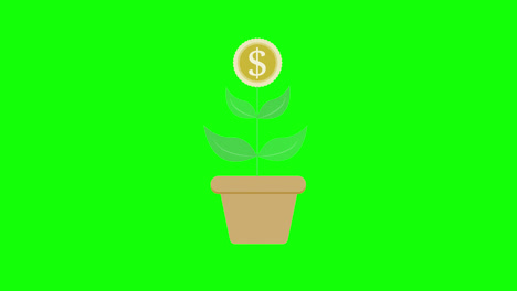 Geld-Wachsende-Blumentopf-Symbol-Loop-Animation-Mit-Alphakanal,-Transparentem-Hintergrund,-Prores-444