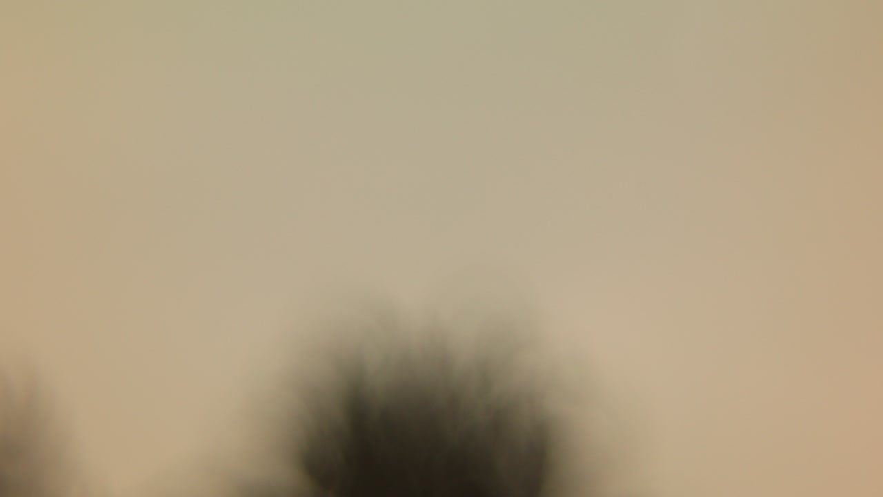 Sun above the tree abstract time lapse video 4K