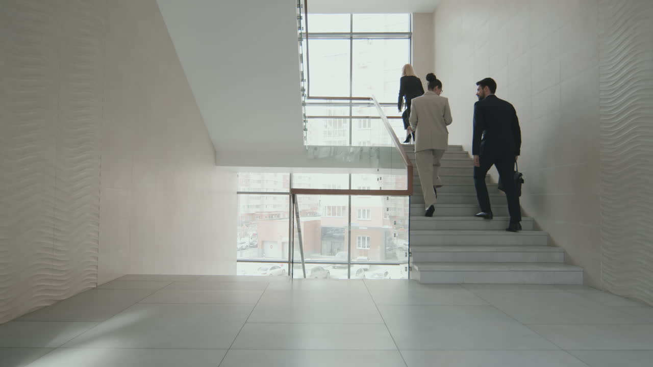 Group of Lawyers in Modern Office