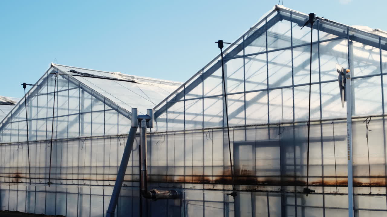 invernadero para el cultivo de plantas. día soleado