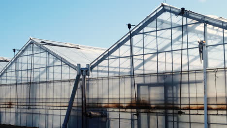 greenhouse for plant growing. sunny day