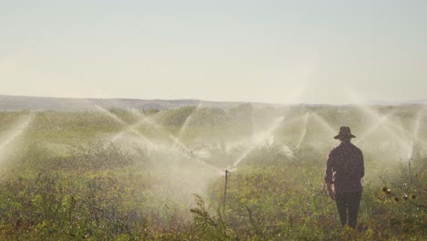 farmer irrigating his field.