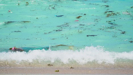 pollution in sea water of binh hung beach. vietnam