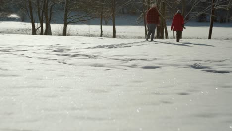 Paar,-Das-Leise-Auf-Einem-Schneefeld-Mit-Bäumen-Und-Glitzerndem-Boden-Geht