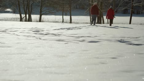 pareja caminando tranquilamente en un campo de nieve con árboles y suelo brillante