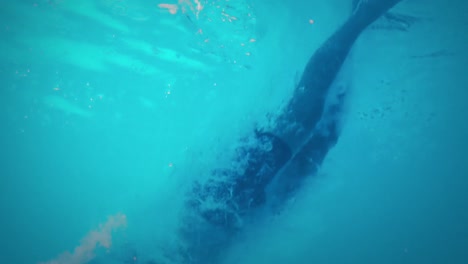 Unterwasseransicht-Eines-Athletischen-Mannes,-Der-Im-Schwimmbad-Taucht