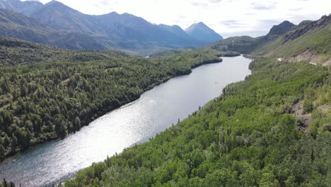 Aerial-shot-of-lush-green-river