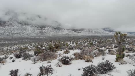 red rock canyon