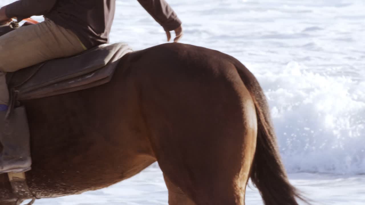 Man riding horse on beach