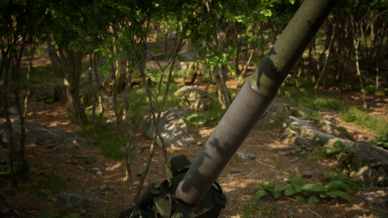 숲 속의 큰 대포