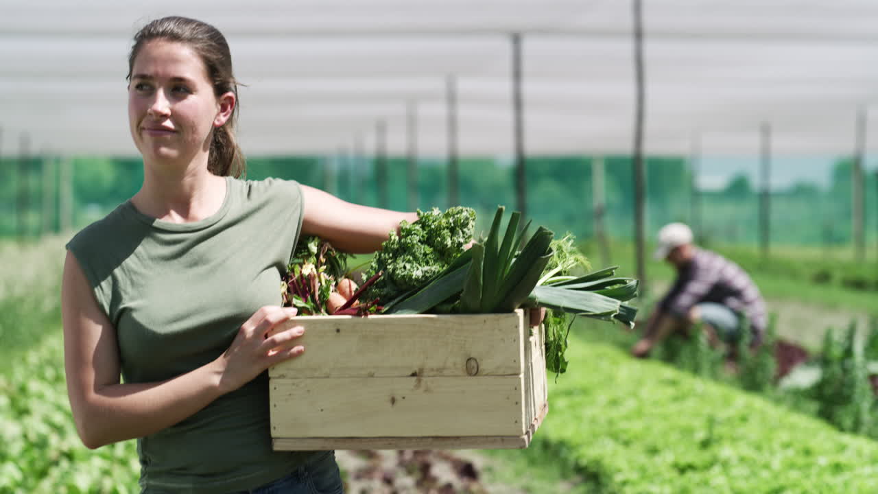 alimentos frescos, orgánicos y nutritivos en el camino
