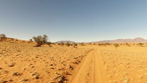 running gnu in the desert of namibia