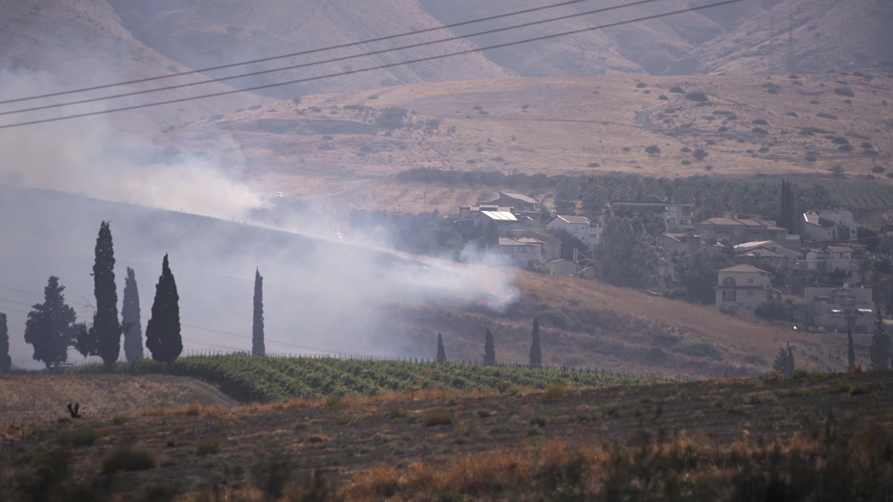 Fiamme che si propagano in un incendio boschivo