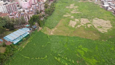 La-Fabricación-De-Drones-Revela-Movimiento-En-El-Campo-Verde-De-Los-Barrios-Marginales-De-Kibera,-Kenia,-Barrios-Marginales-De-Nairobi-Con-Las-Casas-Asentadas-En-El-Medio,-Granja-Verde-En-Los-Barrios-Marginales-De-Kibera