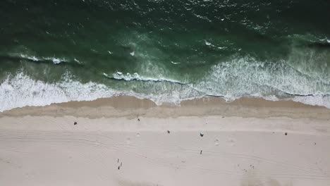 top down aerial shot of foamy green waves of half moon bay beach people hold
