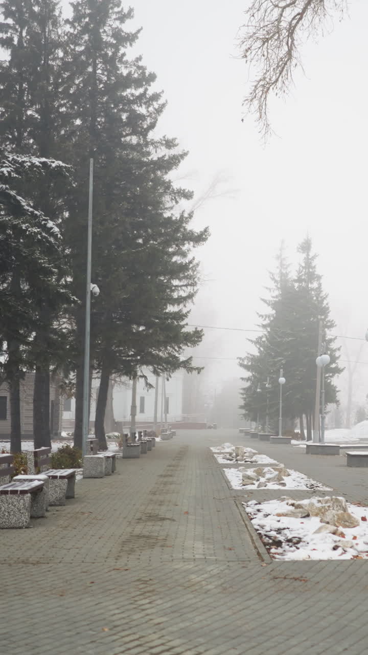 Foggy atmosphere with snow-covered light poles, bare trees, and residential buildings lining quiet paved path. Fallen leaves, muted tones, and soft lighting create serene wintry