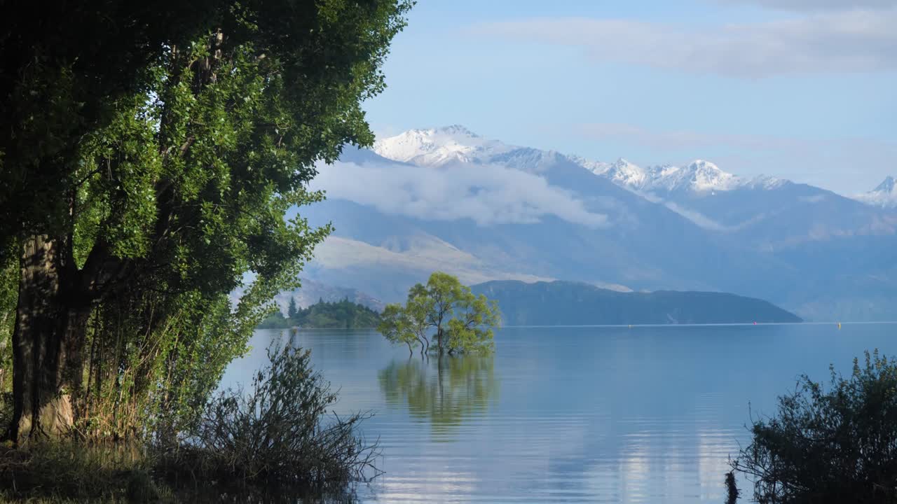 ese árbol wanaka inundado en el lago wanaka con montañas al fondo en verano en la isla sur de nueva zelanda