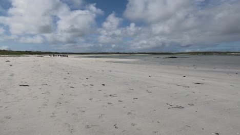 Große-Gruppe-Von-Wanderern-Am-Balranald-Beach-Im-Norden-Von-Uist-An-Einem-Sonnigen-Tag