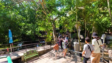 visitors enjoy a sunny day at the zoo