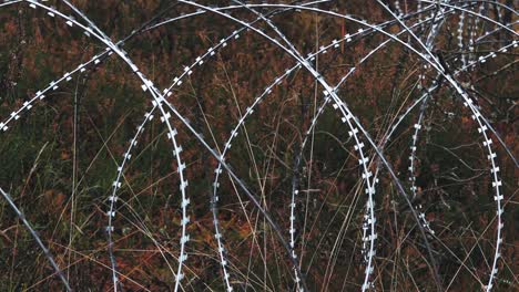 barbed wire for border protection