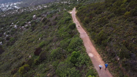 people walking on a trail
