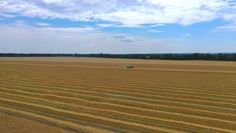 Grain green harvesting combine in a sunny day. Yellow field with grain. Agricultural technic works in field. Video from side.