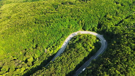 winding road through lush green forest. aerial view of a winding road curving through dense green forest under bright daylight, showcasing vibrant nature