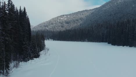 aerial-shot-of-a-frozen-lake-surrounded-by-a-pine-forest-and-mountains-on-a-cloudy-winter-day-,-British-Columbia-Canada