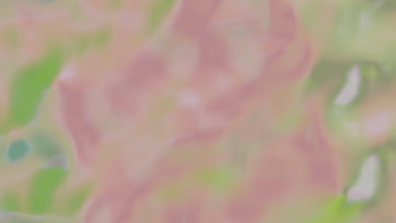 animación abstracta color suave ondulado