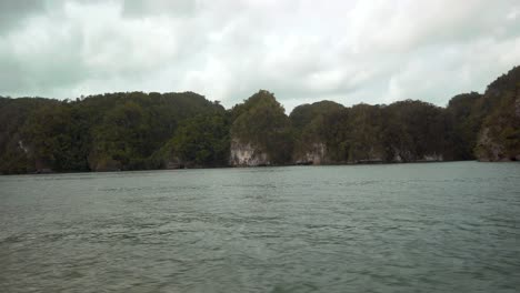 scenic view of lush green karst islands in a tropical bay under a cloudy sky