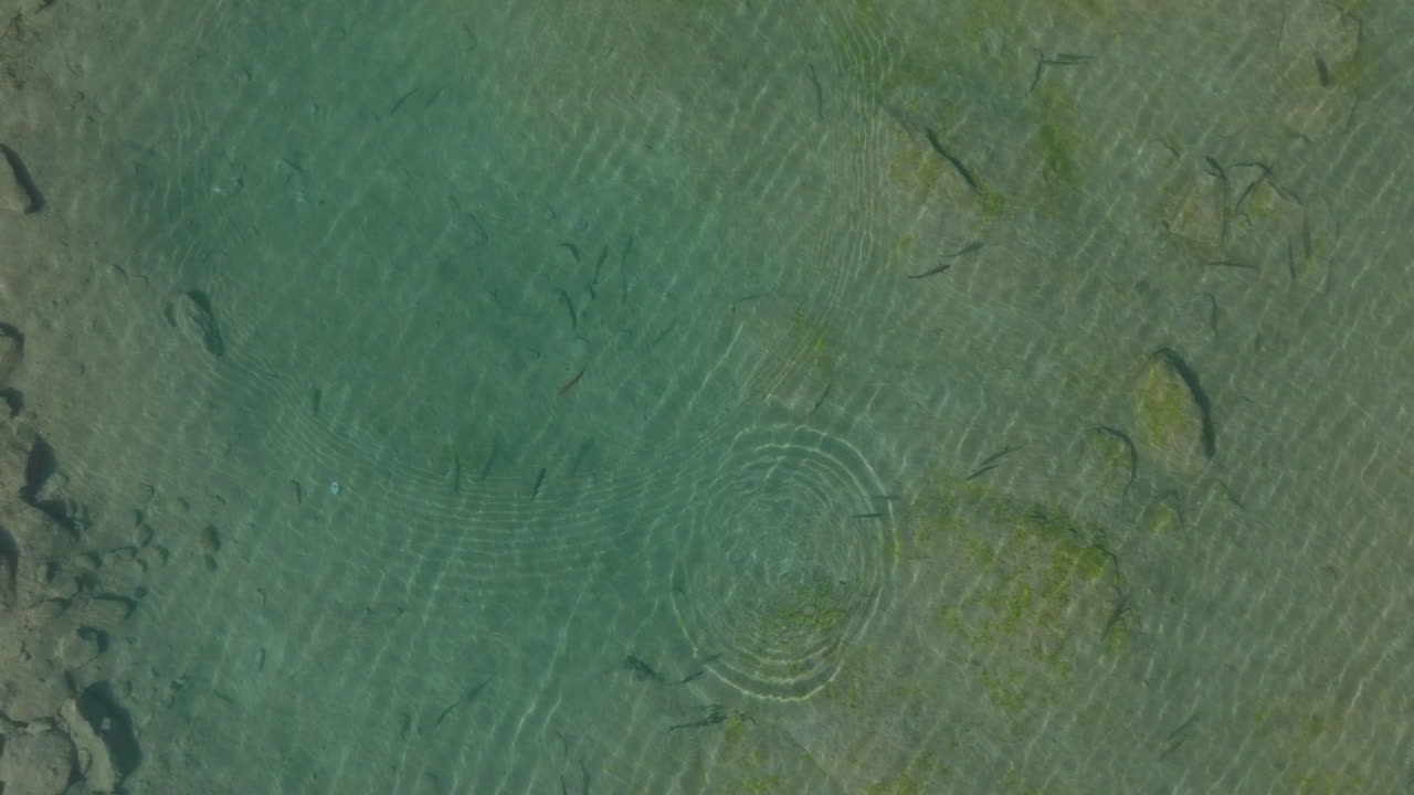 Two hikers explore Saas-Fee, Saas-Balen, and the Saas-Almagell dam, passing waterfalls, marmots, and alpine peaks in a breathtaking high-mountain landscape.
