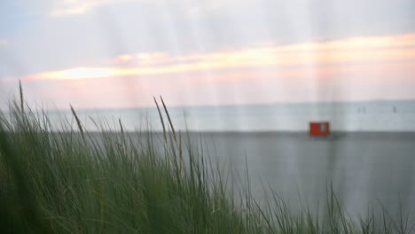 Vista-Desde-Detrás-De-Algunas-Dunegrass-Con-La-Playa-Del-Mar-Del-Norte-En-El-Fondo-Fuera-De-Foco