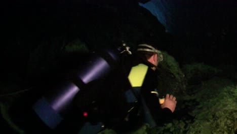 a scuba diver explores underwater caves in florida 4