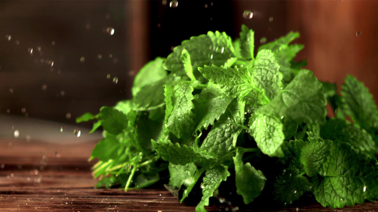 Acqua che schizza su foglie di menta verde fresca al rallentatore.