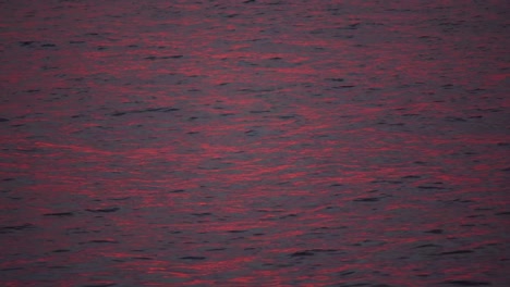 reflections on the water of the sunset during golden hour