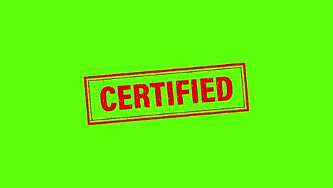 certified red business template. logo design. motion graphics.