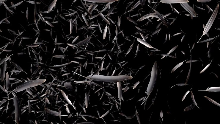 Falling feathers transition effect with alpha channel