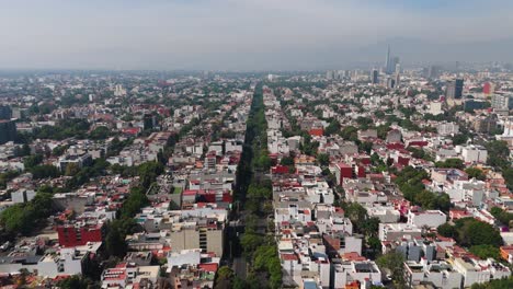 drone shot of leafy avenues in central narvarte on a sunny da