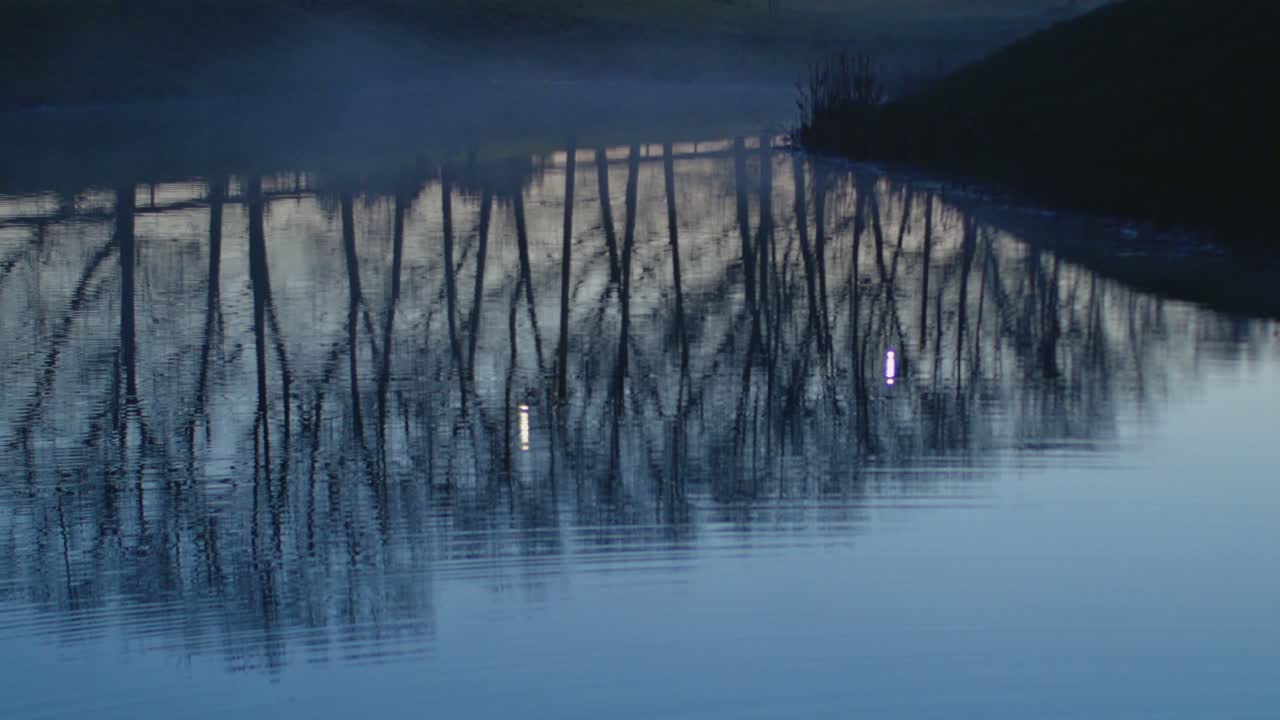 Trees Without Leaves Reflections In The Water In The Evening